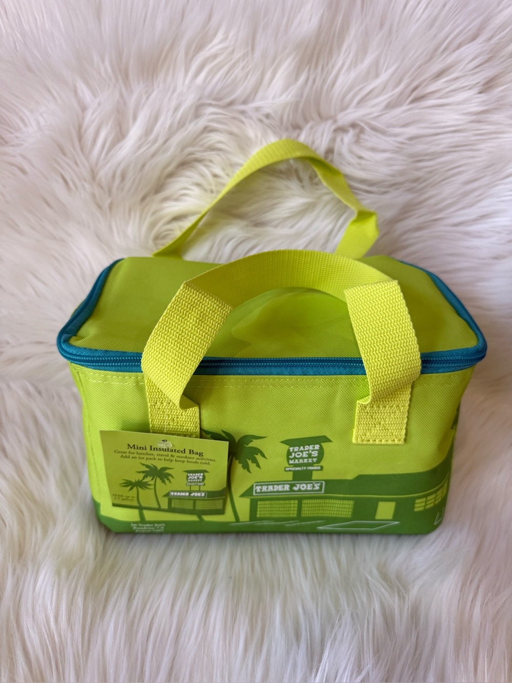 Trader Joe's Mini Insulated Lunch Bag New Pastel Green